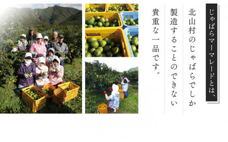 じゃばらマーマレード 140g×2個【njb333A】