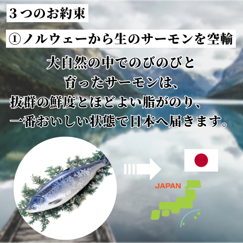 アトランティックサーモン 計1kg（切り落とし付き） 冷凍  鮭 刺し身 魚 人気 海鮮 生食用 刺身 お刺身 魚介類 魚介  海鮮丼 寿司 丼  カルパッチョ 海鮮サラダ ムニエル ホイル焼き【北海