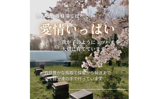 ※25.4.1一時停止※947.天然はちみつ3点セット（百花蜜、アカシア、トチ）200ｇ×各１本（計３本） 蜂蜜 ハチミツ ハチ蜜 鳥取県産◇日本全国配送可能  お申し込みから14日以内に発送