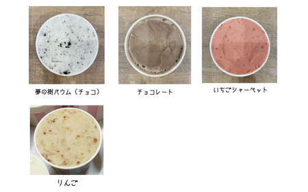 夢の樹ジェラート おまかせ 4個 セット 【 ジェラート アイス 冷凍 人気 詰め合わせ ギフト 夢の樹マルシェ 木村屋 】