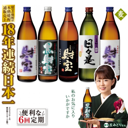 G7-2231／【 定期便 】 6回 届け・ 焼酎 4種5本 飲み比べセット 【5合瓶（麦）】 温泉水仕立て！ 財宝