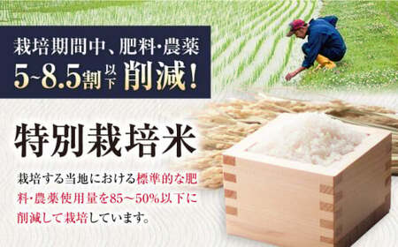 【令和6年度産 新米】【全6回定期便】特別栽培米ミルキークイーン　2kg白米×6回　滋賀県長浜市/株式会社お米の家倉[AQCP024]