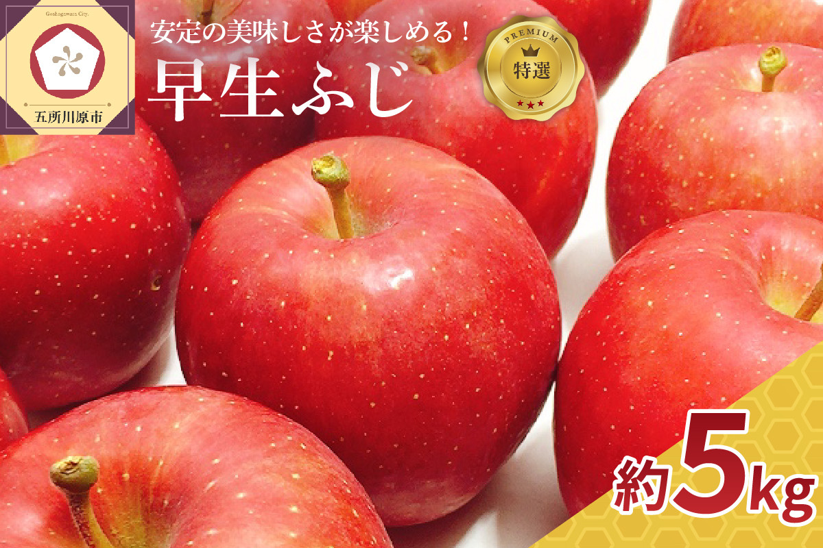 
                  【2026年10月発送】 りんご 約5kg 【特選】 早生ふじ 青森県産 【 林檎 フジ リンゴ 果物 フルーツ 】
                