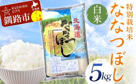 特別栽培米ななつぼし 5kg 白米 北海道産 米 コメ こめ お米 白米 玄米 通常発送 F4F-9740