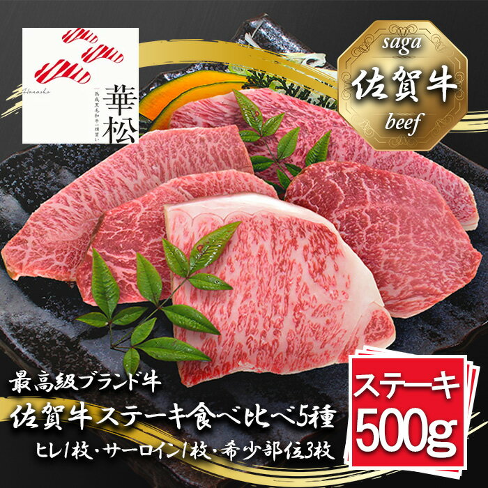 【ふるさと納税】佐賀牛ステーキ食べ比べ5種500g（100g×5枚）（BL071）