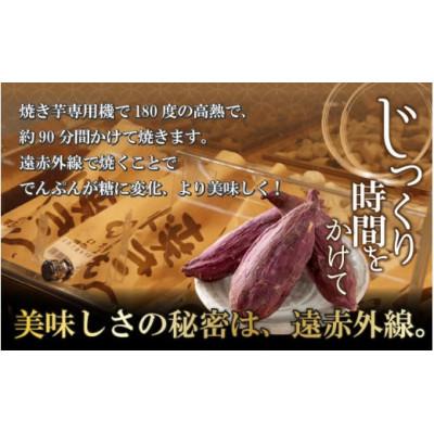 ふるさと納税 勝山市 冷やし焼き芋 3本入り |  | 01