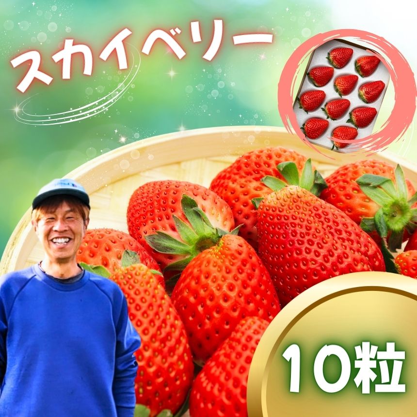 【ふるさと納税】スカイベリー　10粒【2027年先行予約】 | 赤 大粒 上品 華やか 苺 strawberry ストロベリー おいしい 甘い ジューシー 贈答用 プレゼント ご褒美 スイーツ おやつ 高評価 人気 レビュー 栃木県 真岡市 日本一 送料無料
