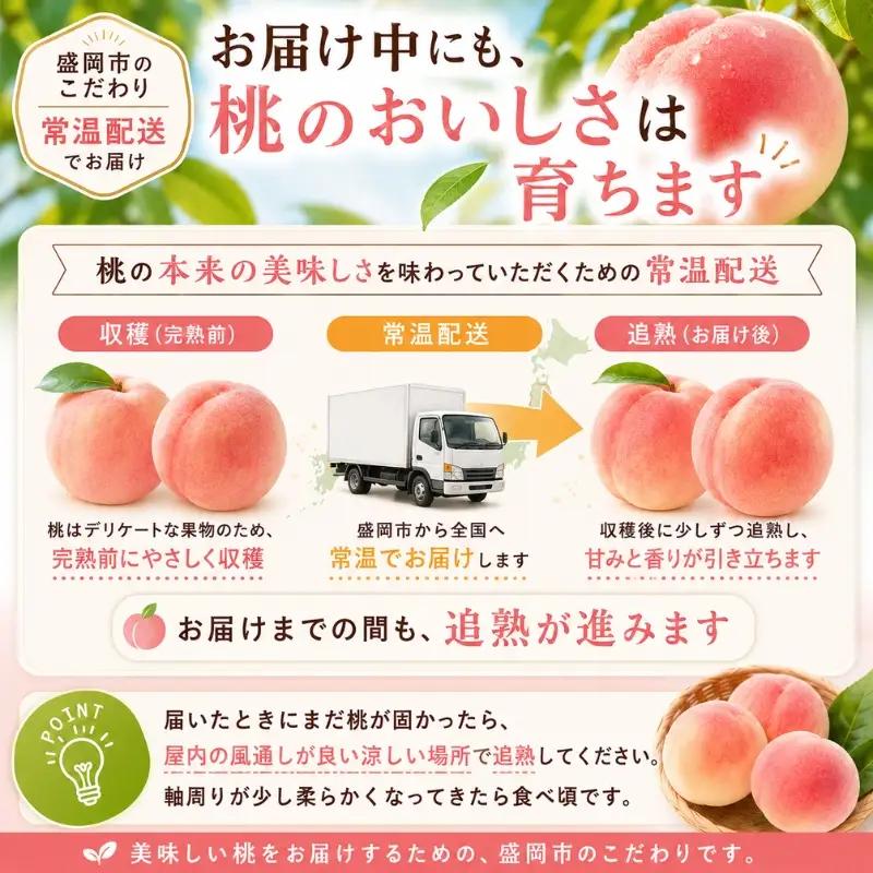 【先行予約】 桃あかつき約3kg(9~13個)【8月上旬～順次発送】【asashima002】