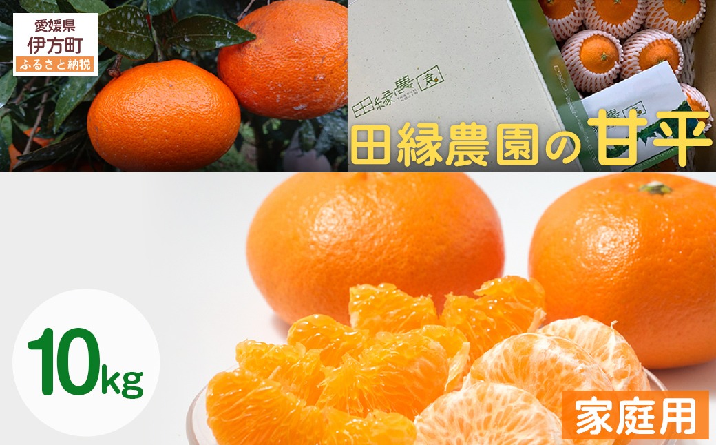 【先行予約】【家庭用】岬まどんな 5kg ※離島への配送不可 （2026年11月25日より順次発送） IKTA033