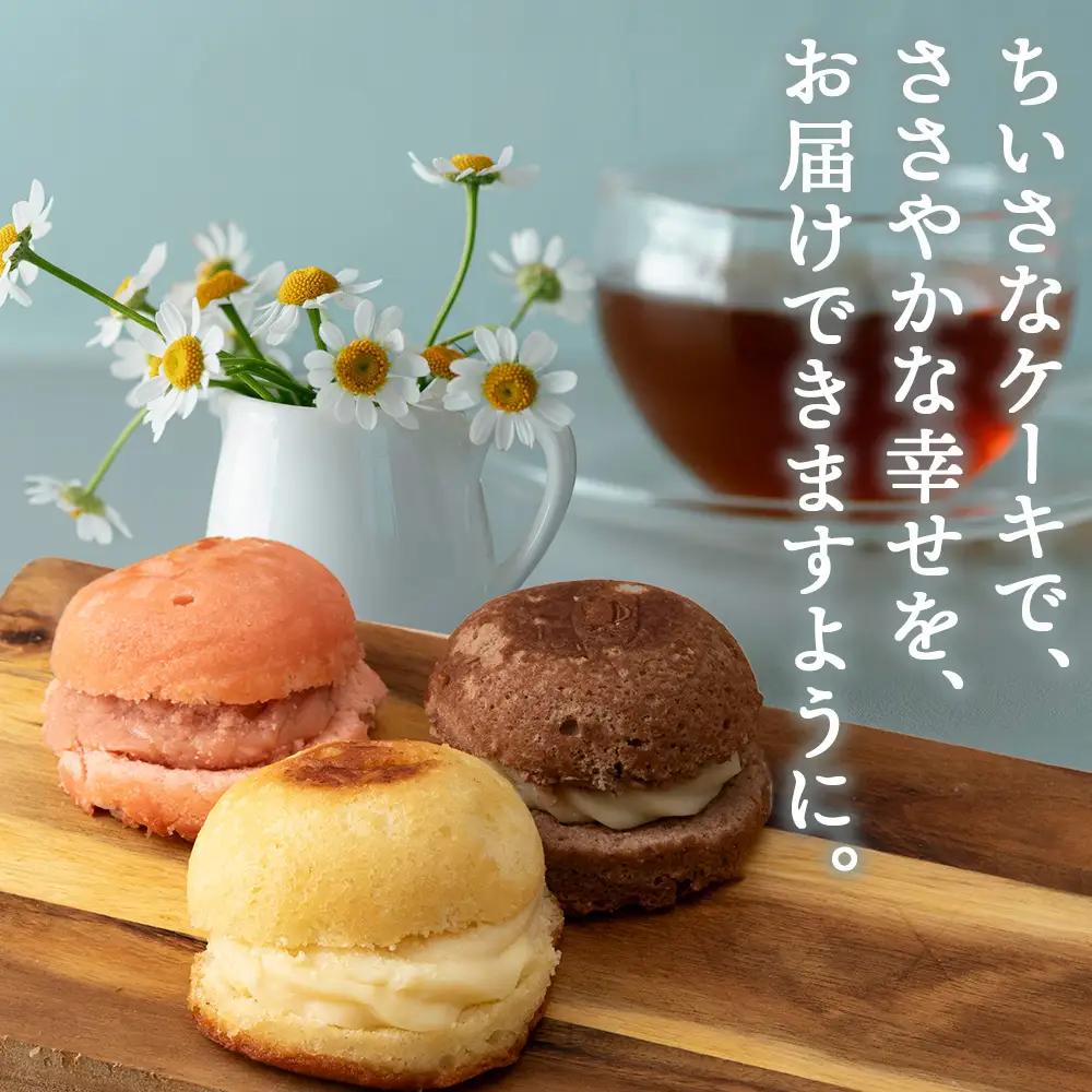 カスターケーキ プレーン・生チョコ・イチゴ 6個セット【とらや菓子司】