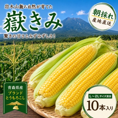 
                  とうもろこし 朝採り 嶽きみ(だけきみ) 10本 L～2Lサイズ 冷蔵【1757166】
                