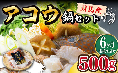 【全6回定期便】【 対馬産 】 アコウ ( キジハタ ) 鍋 セット 500g 水炊き 高級 海鮮 [WAB016]