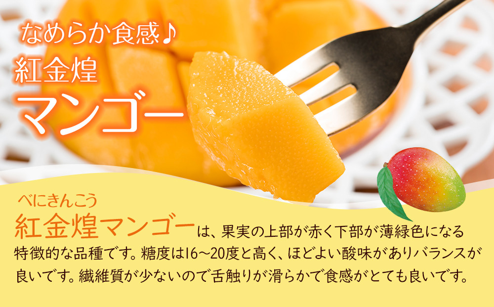 紅金煌 マンゴー 3~4個 入り 合計 1600g前後