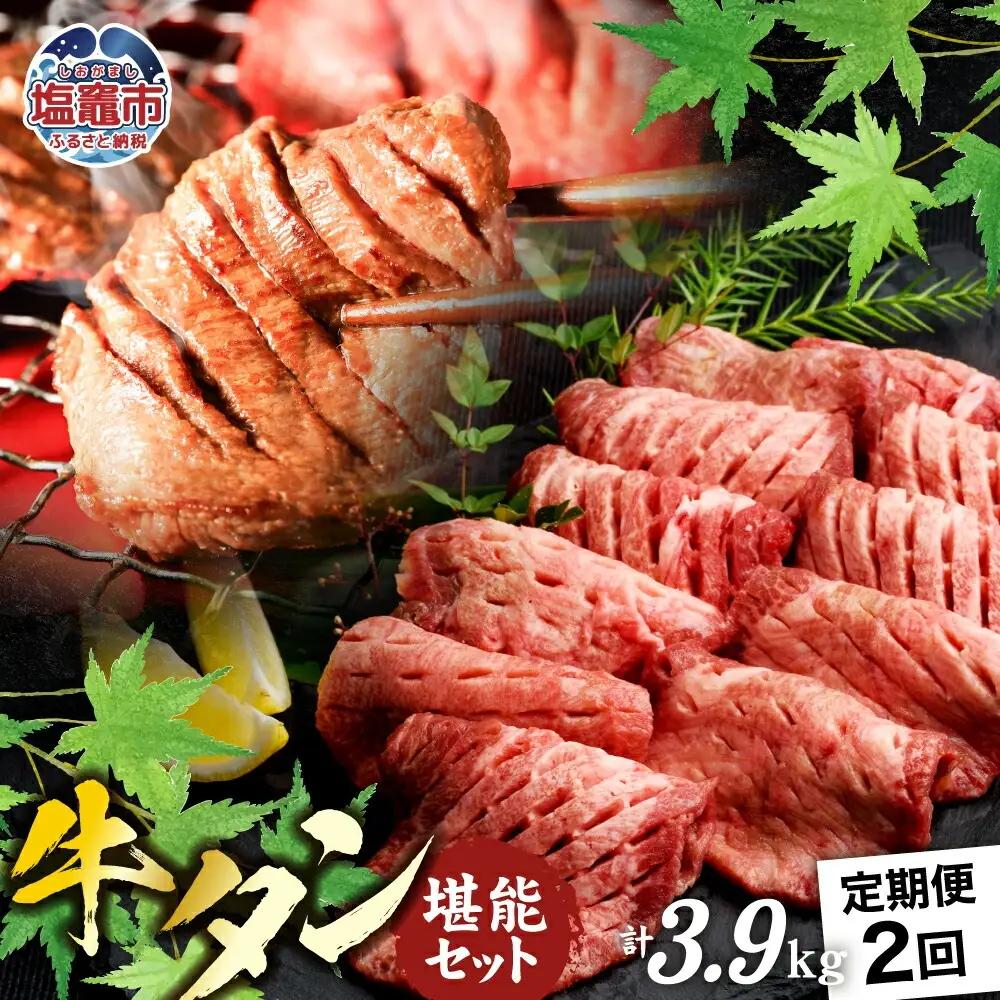 【定期便】牛タン 仙台名物 厚切り 牛たん 堪能贅沢 セット（全2回の定期便）