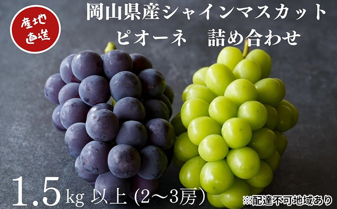厳選 シャインマスカット・ニューピオーネ 2～3房 合計1.5kg以上 詰合せ 産地直送 朝採れ ぶどう 葡萄 Kawahara Green Farm 岡山県産 2024年