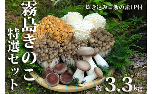 
【農場直送】もぎたて霧島きのこと炊き込みご飯の素セット　約3.3kg
