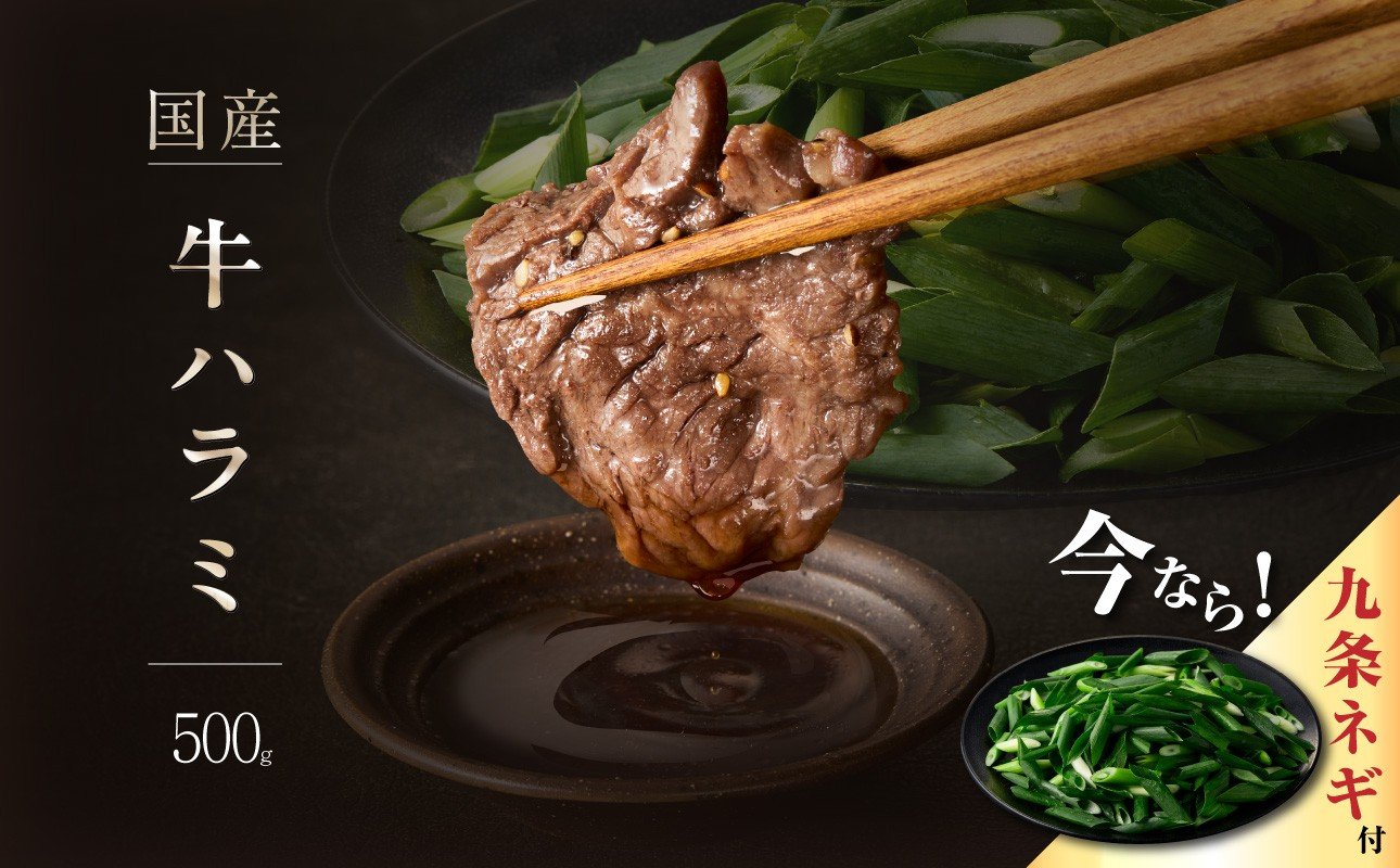 
            今だけ数量限定！九条ネギ付き！貴重！肉汁溢れる 国産牛ハラミ 500g ふるさと納税 国産ハラミ 貴重 自家製ダレ プロの味 【093-43-P】 牛肉 ハラミ BBQ 国産 肉 バーベキュー 味付けハラミ ホルモン 焼肉 牛ハラミ ふるさと納税 京都府 木津川市 タレ付けハラミ 肉汁 
          