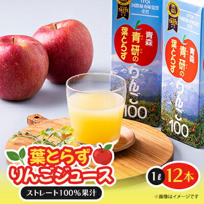 【ふるさと納税】葉とらずりんごジュース　1000g×12本入り【1657569】