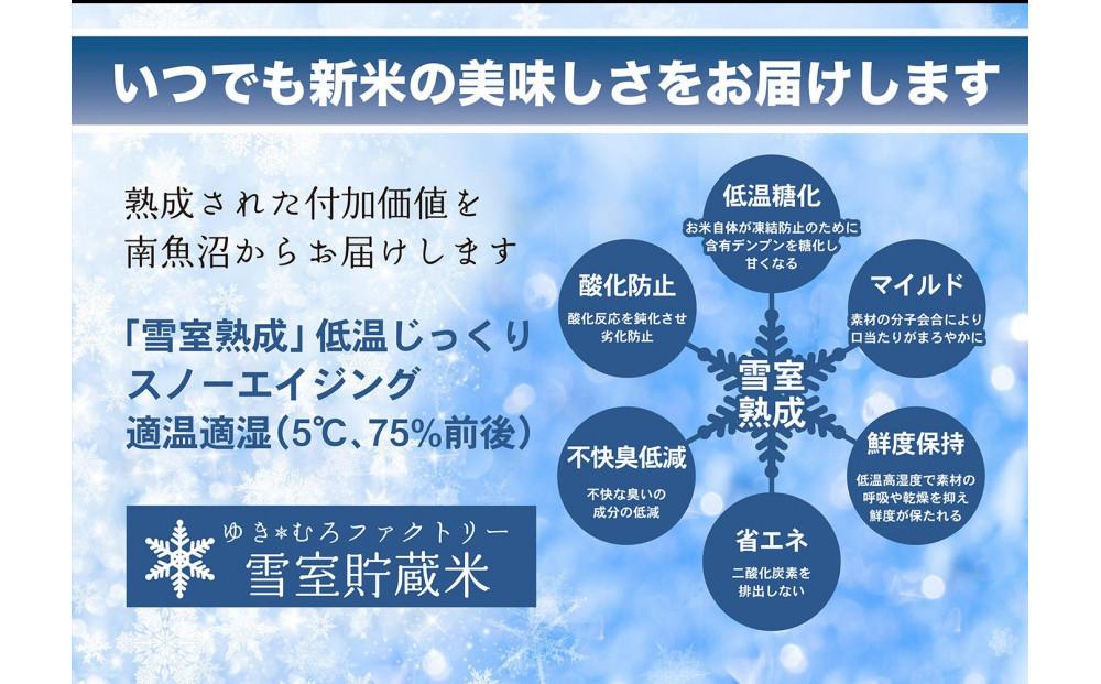 【令和７年産新米予約】無洗米【定期便2kg×3回】雪室貯蔵米 南魚沼産コシヒカリ【2025年10月下旬より順次発送予定】
