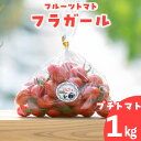 【ふるさと納税】フルーツトマト フラガール プチトマト 【1kg】 よこた農園 野菜 トマト 新鮮野菜 太陽の恵み トマト料理 愛知県産 お取り寄せ グルメ 送料無料