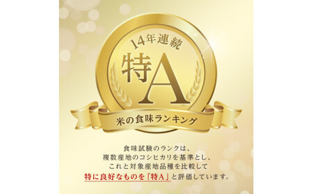 令和7年産新米 ななつぼし10kg お米 米 新米 10kg 北海道 北海道産 ななつぼし F21W-545