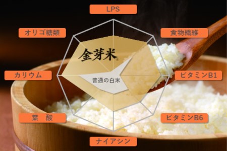 無洗米 金芽米 ひとめぼれ 10kg （ 5kg × 2袋 ） 令和6年度産 宮城県産 [ 宮城県 加美町 ] 米 お米 こめ コメ 精米 白米 玄米 きんめまい km00017-r6-10kg