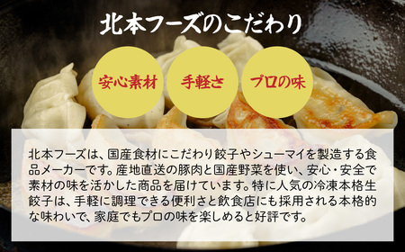 【定期便】 餃子 40個×全3回 | ぎょうざ 冷凍 北本フーズ