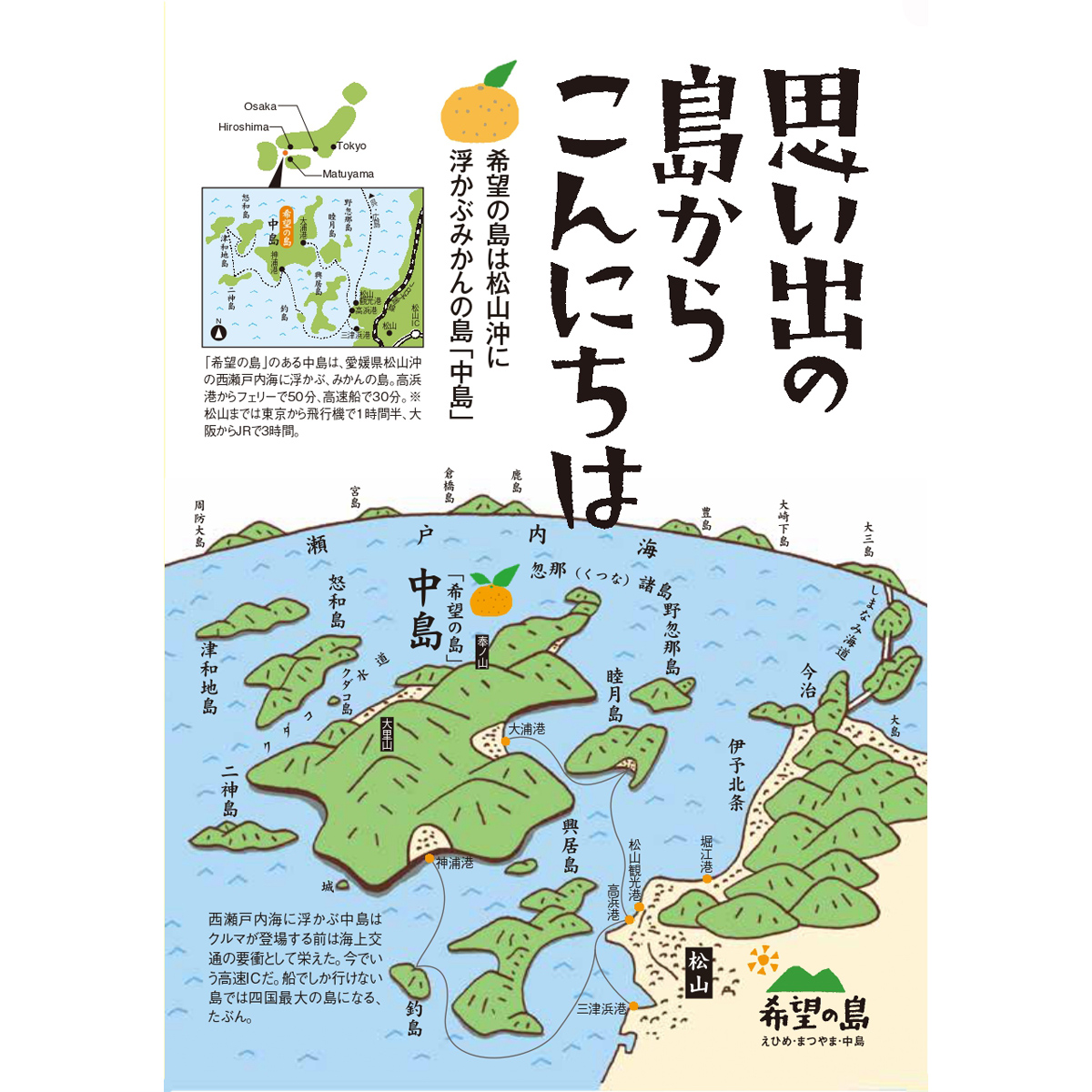 【11月下旬頃から発送予定】温州みかん 10kg 愛媛 中島産 希望の島 家庭用 みかん 柑橘