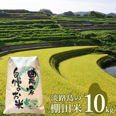 ふるさと納税 淡路市 淡路島の棚田米 10kg　精米 白米　ae01079