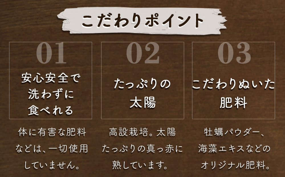 【朝摘みをお届け！】【2024年12月頃より順次発送】 フルーツガーデンやまがたのいちご「うずしおベリー」特大粒24個  【数量限定】 いちご フルーツ 果物 苺 イチゴ 旬の果物 季節の果物 鳴門の