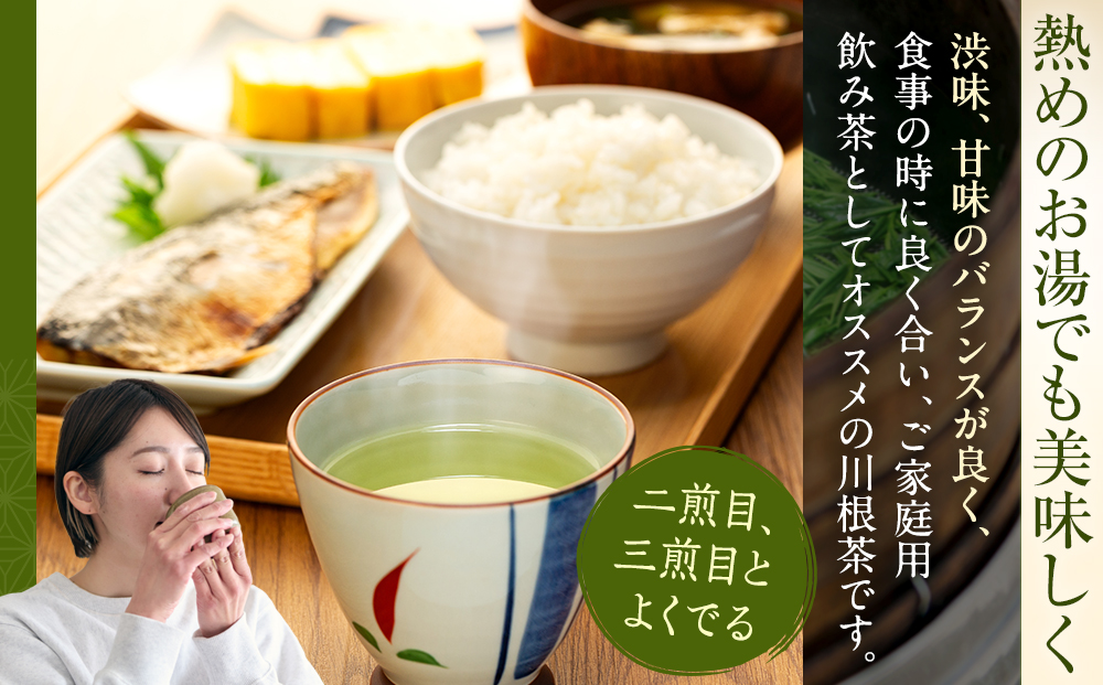 自家用煎茶100g×4本