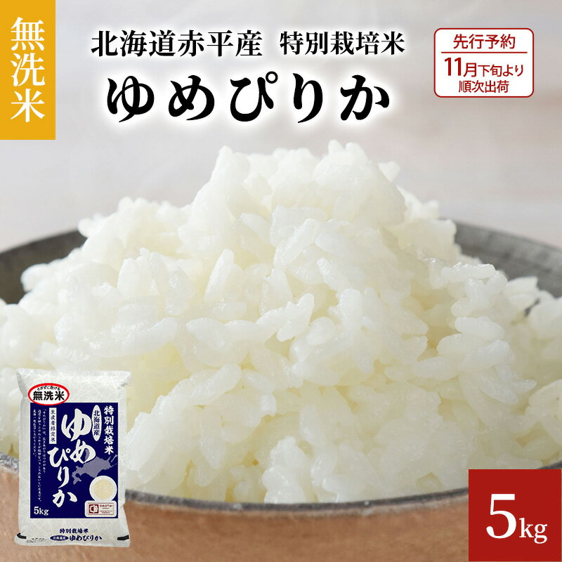 【ふるさと納税】【先行予約2025年産米・11月上旬より順次出荷】無洗米 北海道赤平産 ゆめぴりか 5kg 特別栽培米 米 北海道 お米 ふるさと納税 　お届け：2025年11月下旬より順次出荷