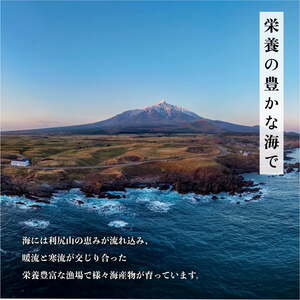 利尻島産 天然蝦夷『活』アワビ1kg【10月下旬～12月期間限定】※オンライン決済限定