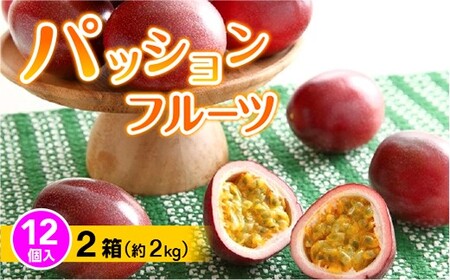パッションフルーツ 12個入り×２箱(約２kg)【日時指定不可】