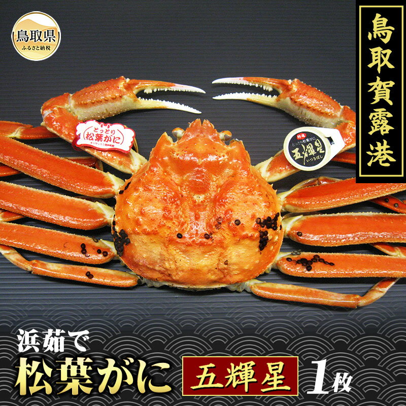 【ふるさと納税】F25-024 （※お歳暮専用※）鳥取賀露港　浜茹で松葉がに　五輝星【期間限定】 鳥取県 おすすめ 賀露港 ボイル 浜茹で かに がに ガニ 蟹 松葉ガニ ズワイガニ