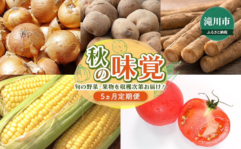 【2025年8月より発送】秋の味覚～旬の野菜を収穫次第お届け！ 北海道 滝川市 ゴールドラッシュ 玉ねぎ 玉葱 ごぼう ゴボウ じゃがいも ジャガイモ きたあかり 野菜 定期便