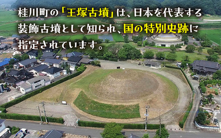 王塚古墳グッズ6点セット 桂川町役場/桂川町[ADAO008] ▼ おしゃれ ギフト 可愛い プレゼント 多用途 軽量 コンパクト 限定版 カラフル エコバッグ ステーショナリー キーチェーン