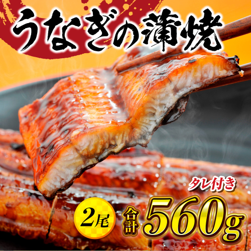 うなぎの蒲焼２尾 タレ付き（1本）　YZ001