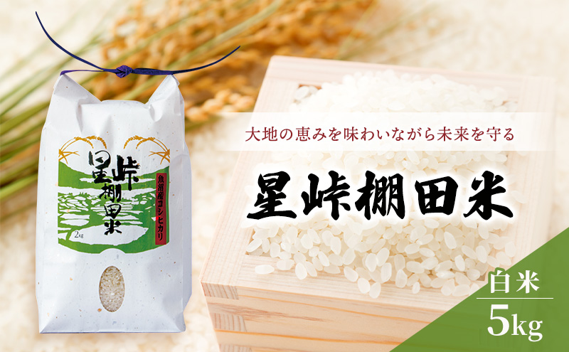 大地の恵みを味わいながら未来を守る「星峠棚田米」 5kg（白米）越後まつだい 魚沼産コシヒカリ