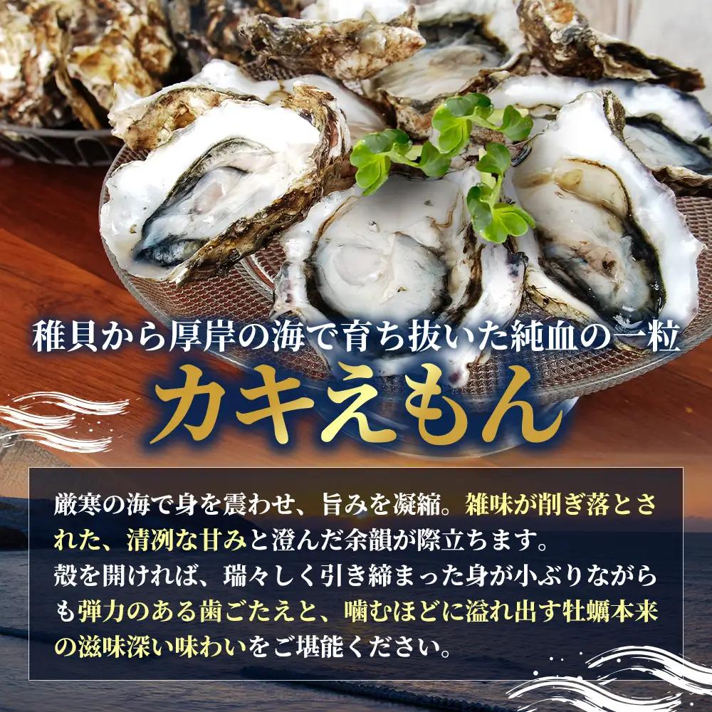 2か月 定期便 北海道 厚岸産 殻付牡蠣の食べ比べセット！（生食用）  牡蠣 カキ かき 生食 生食用 生牡蠣  食べ比べ 魚貝類 