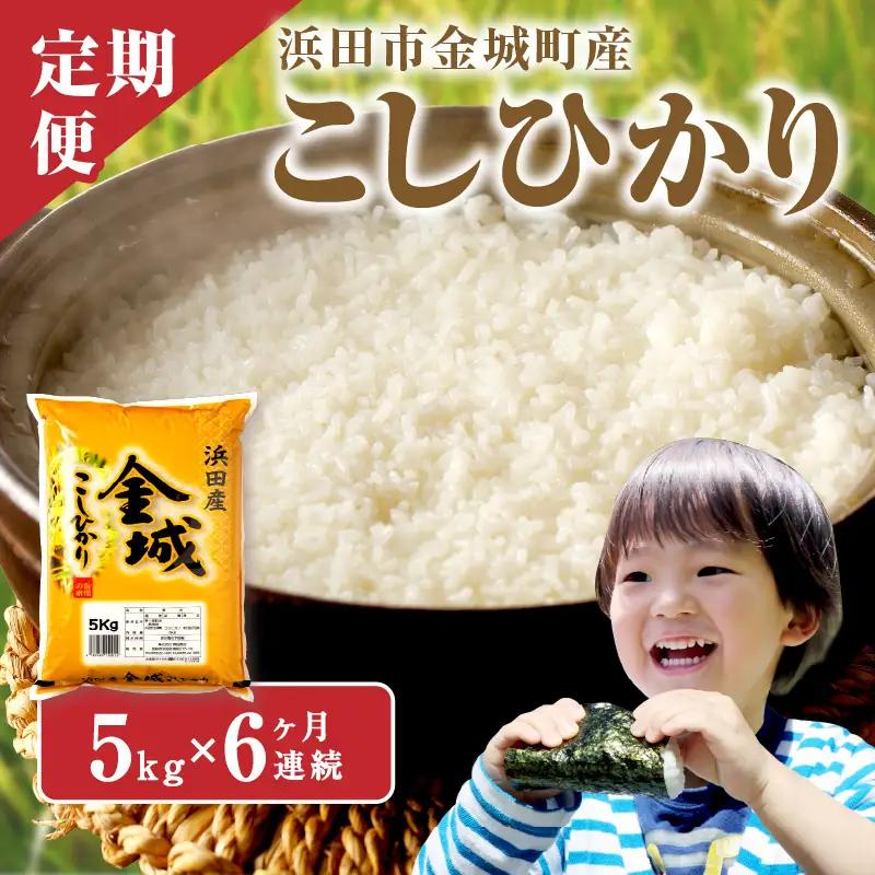 【令和7年産】【定期便】浜田市金城町産こしひかり（5kg×6回） 定期便 6回 こしひかり お取り寄せ 特産 お米 精米 白米 ごはん ご飯 コメ 生活応援 応援 準備 【058_1855】