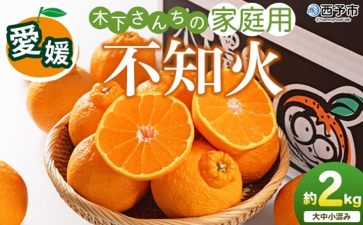 ＜木下さんちの不知火 家庭用 約2kg＞『2027年3月に順次出荷予定』柑橘 しらぬい でこぽん デコポン ご自宅 みかん ミカン 蜜柑 果物 くだもの フルーツ 果実 特産品 木下農園 西宇和 愛媛県 西予市【常温】