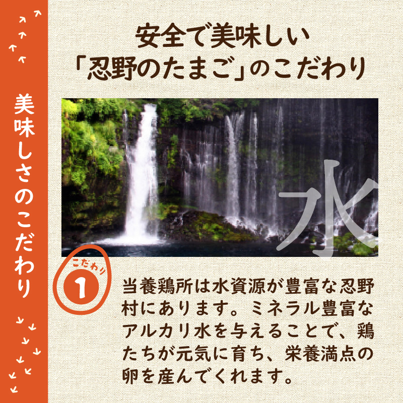 【6ヶ月定期便】忍野の平飼い放牧卵80個（75個＋割れ保証5個）