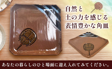 カブトガニ 角皿 　食器 皿