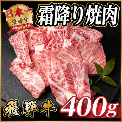 【ふるさと納税】飛騨牛 霜降り焼肉 約400g 黒毛和牛 BBQ用【配送不可地域：離島】【1733114】