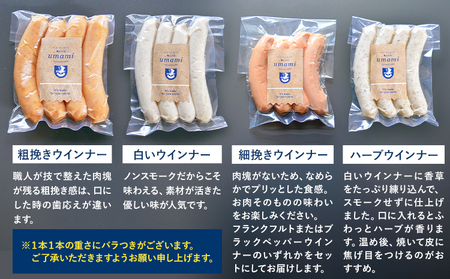 ハム ソーセージ 詰め合わせ ギフト C 豚肉 厚切り ハム ステーキ 鶏肉 スモーク チキン ソーセージ ウィンナー 加工品 福袋 Umami
