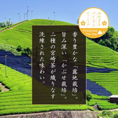 ふるさと納税 日向市 プレミアムティーバッグ「露ぶせ」(3g×12個)3袋 |  | 01