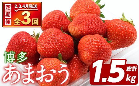 ＜先行予約受付中！2026年2月上旬以降順次発送予定＞＜定期便・全3回(2月・3月・4月)＞博多 あまおう (総計1.5kg) いちご イチゴ 苺 ストロベリー 果物 フルーツ おやつ デザート 冷蔵 旬 小分け 定期便 【農産物直売所ほたるの里】as52-011