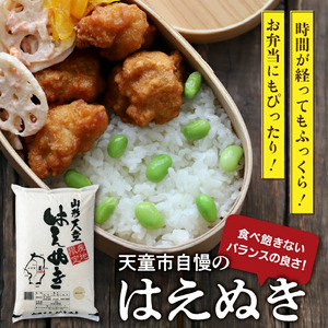 【2026年1月上旬発送】令和7年産 はえぬき 5kg 米 精米 山形 天童 07-01-191-01A