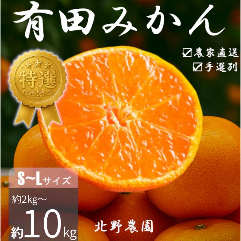 【ふるさと納税】特選 有田みかん 和歌山 S～Lサイズ 大きさお任せ 約2kg 約3kg 約5kg 約10kg【11月上旬～翌年1月下旬頃に順次発送】/ みかん フルーツ 果物 くだもの 有田みかん 蜜柑 柑橘